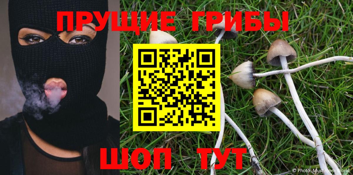 Галлюциногенные грибы Magic Shrooms  Вход с VPN  Пенза 
