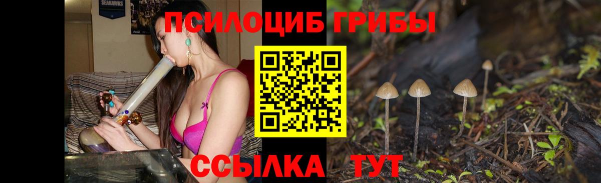 Галлюциногенные грибы MAGIC MUSHROOMS Пенза